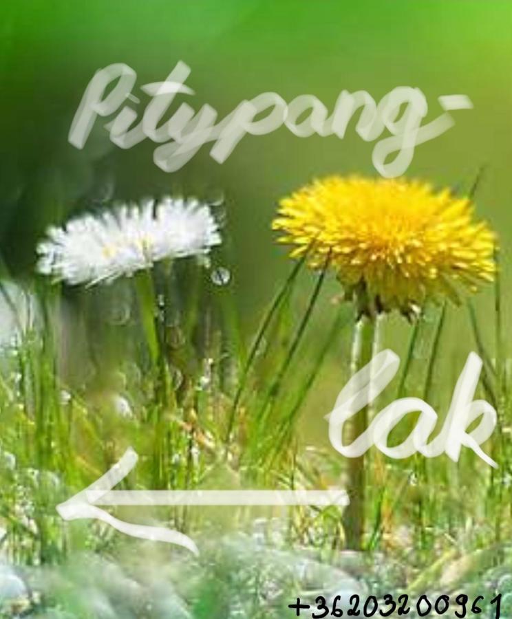 Pitypang Lak Apartment Szigetmonostor Ngoại thất bức ảnh
